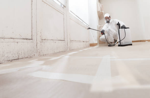 24/7 Emergency Mold Removal experts in Reedville, VA